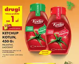 Biedronka Ketchup Kotlin oferta