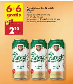 Biedronka Piwo Zatecký Světlý Ležák oferta