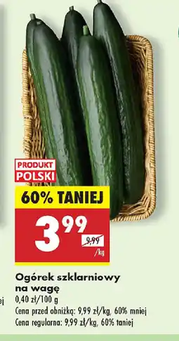 Biedronka Ogórek szklarniowy oferta