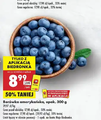 Biedronka Borówka amerykańska oferta