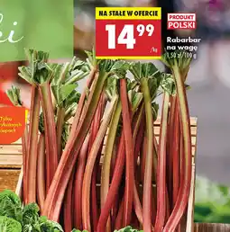 Biedronka Rabarbar oferta