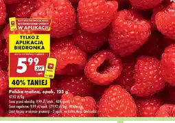 Biedronka Polska malina oferta