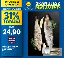 Lidl Pstrąg tęczowy patroszony cały Rybny targ lidla oferta