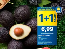 Lidl Awokado hass oferta