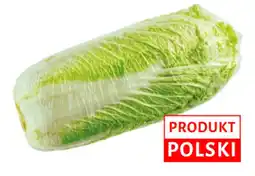 Dino Kapusta pekińska Dino oferta