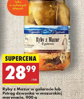 Biedronka Ryby z Mazur w galarecie lub Pstrąg dzwonka w mazurskiej marynacie oferta