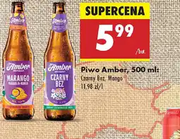 Biedronka Piwo Amber oferta