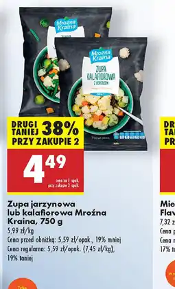 Biedronka Zupa jarzynowa lub kalafiorowa Mroźna Kraina oferta