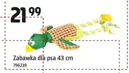 Jula Zabawka dla psa oferta