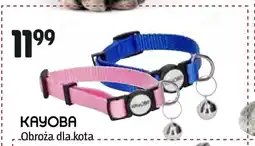 Jula Obroża dla kota Kayoba oferta