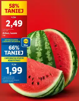Lidl Arbuz Limit oferta