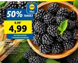 Lidl Jeżyny Plus-Plus oferta