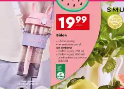 Biedronka Bidon Smukee oferta