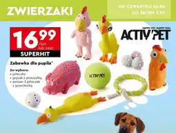 Biedronka Zabawka dla psa Activ Pet oferta