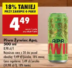 Biedronka Piwo Żywiec Apa oferta