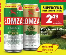 Biedronka Piwo Łomża oferta
