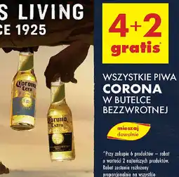 Biedronka Wszystkie piwa corona w butelce bezzwrotnej oferta