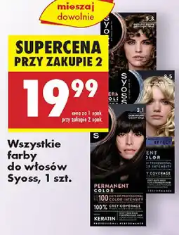 Wszystkie farby do włosów Syoss