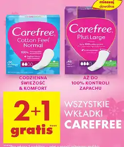 Biedronka Wszystkie wkładki Carefree oferta
