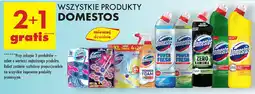 Biedronka Wszystkie produkty Domestos oferta