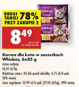 Biedronka Karma dla kota w saszetkach Whiskas oferta
