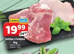 Delfin Udziec z indyka oferta