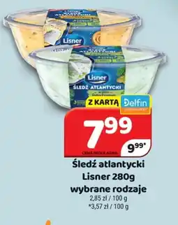 Delfin Sledź atlantycki Lisner oferta