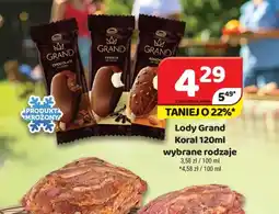 Delfin Lody Grand Koral oferta