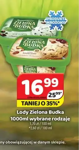 Delfin Lody Zielona Budka oferta