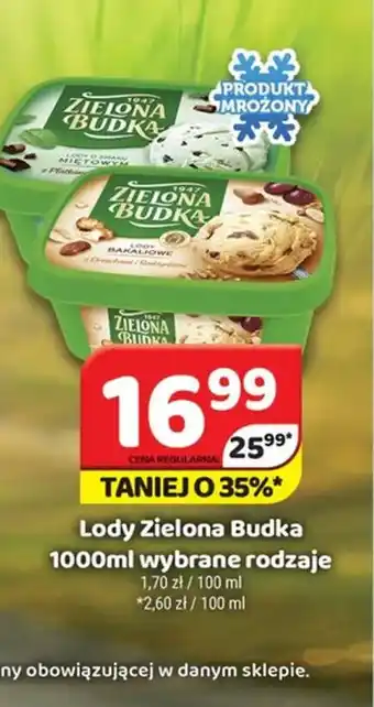Delfin Lody Zielona Budka oferta