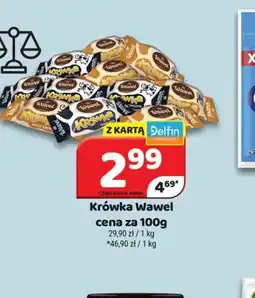 Delfin Krówka Wawel oferta