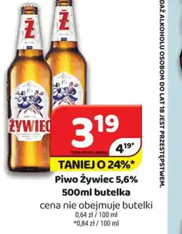 Delfin Piwo Zywiec 5,6% oferta