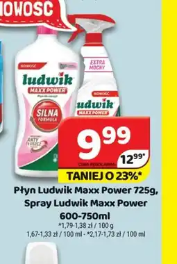 Delfin Płyn Ludwik Maxx Power oferta