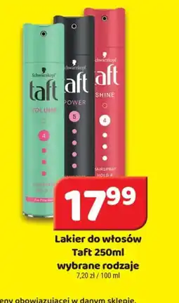 Delfin Lakier do włosów Taft oferta