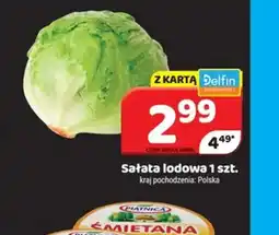 Delfin Sałata lodowa oferta