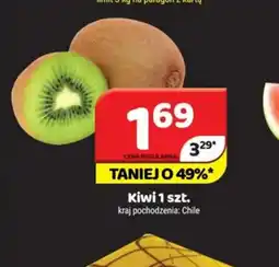 Delfin Kiwi oferta