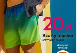 Pepco Szorty męskie oferta