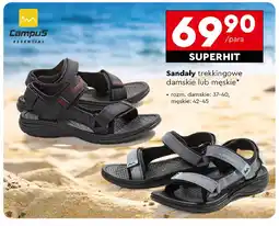 Biedronka Sandały trekkingowe 42-45 Campus oferta