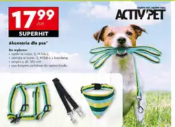 Biedronka Pas bezpieczeństwa Activ Pet oferta