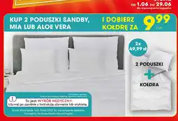 Biedronka Poduszka aloe vera Smukee oferta