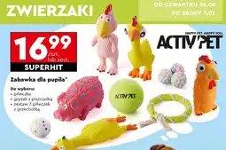 Biedronka Piłki Activ Pet oferta