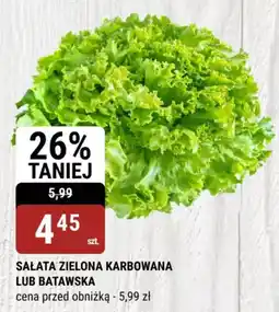 bi1 Sałata zielona karbowana lub batawska oferta