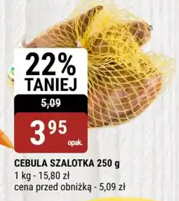 bi1 Cebula szalotka oferta