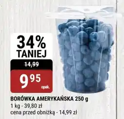 bi1 Borówka amerykańska oferta