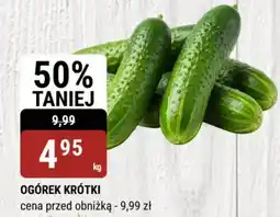 bi1 Ogórek krótki oferta