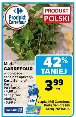 Carrefour Market Mięta Carrefour oferta