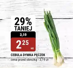 bi1 Cebula dymka pęczek oferta