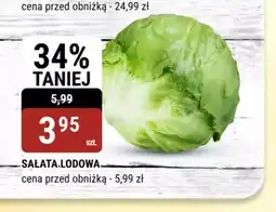 Sałata lodowa