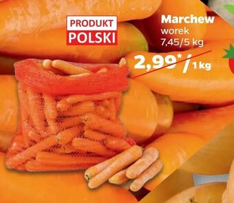 Netto Marchew oferta
