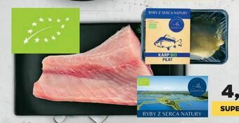 Netto Karp Bio Ryby z Serca Natury oferta